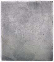 1968. "Fővárosi Vízművek 1868-1968" ezüstözött Br plakett (58x50mm) T:2