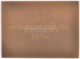 1976. "Magyar Bélyeggyűjtők Országos Szövetsége / 49. Bélyegnapi Kiállítás" Br plakett (48...