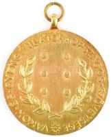 Halmágyi István (1897-1987) 1959. "Louis Braille Emlékérem 1809-1959 / Vakok és Gyengénlátók Or...