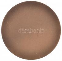 DN "Bácskai és Duna melléki TESZÖV Baja" Br érem (70mm) T:1-