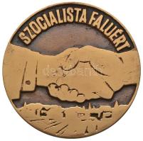 DN "MAE - Társadalmi tudományos tevékenységért / Szocialista faluért" Br plakett (80mm) T:2