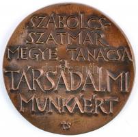 Tóth Sándor (1933-) DN "Szabolcs-Szatmár Megye Tanácsa társadalmi munkáért / Óvoda" Br pla...