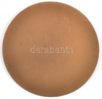 DN "Budapest Mátyás templom" Br emlékérem (60mm) T:2 apró ph