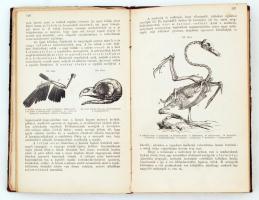 Paszlavszky József: Az állattan kézikönyve. A középiskolák felsőbb osztályai számára. Ötödik kiadás....