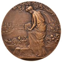 Franciaország DN Fotózó nőalakot ábrázoló Br emlékérem peremen "BRONZ" beütéssel. Szign.: René Baudichon (1878-1963) (63mm) T:2 France ND Commemorative Br medallion depicting a woman photographer on the edge with "BRONZ" hallmark. Sign.: René Baudichon (1878-1963) (63mm) C:XF