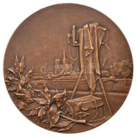 Franciaország DN Fotózó nőalakot ábrázoló Br emlékérem peremen "BRONZ" beütéssel. Szign.: ...