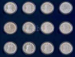 Amerikai Egyesült Államok 1986. "100 éves a Szabadságszobor" 12klf db-ból álló emlékérem s...