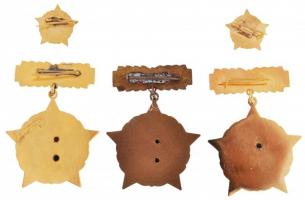 ~1960-1970. "Kiváló Újító" kitüntetés arany fokozata, zománcozott, aranyozott kitüntetés m...