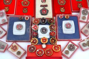 ~1960-1970. 63db "Szocialista Brigád" jelvény, egy része tokban miniatűrrel, több változat T:vegyes