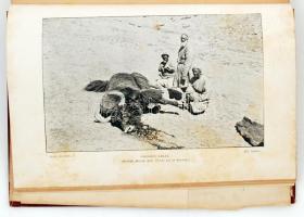 Sven, Hedin: Ázsia szívében. Tízezer kilométernyi úttalan utazás. Átdolgozta Thirring  Gusztáv. I. k...