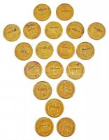 ~1970. 19db "Ifjú Gárda" fém jelvény, közte "Katonai Szakalegység", "Polgár...