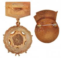 ~1970. "Munkásőr - 25 év" aranyozott, zománcozott jelvény eredeti, de sérült dísztokban + ...