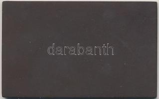 1971. "25 éves a forint" festett fém emlékplakett eredeti tokban (51x81mm) T:1