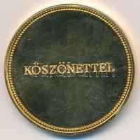 1995. "A KÓTA 25 éves jubileuma emlékére 1970-1995 / Köszönettel" aranyozott Br emlékérem ...