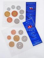 "Európa utolsó pénzei" 30db különféle vákuumcsomagolt forgalmi szett gyűrűs albumban T:1,2...