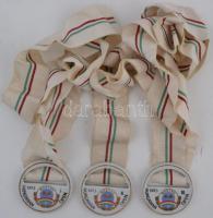 45db hollóházi porcelán sportérem és plakett, néhány szalaggal együtt T:vegyes