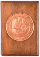 ~1970-1980. 3db fém plakett: "15 éves a Törzsgárda tagságért - MTV" Br plakett dísztokban + "Orion - EMG Budapest 20 év" kisméretű, zománcozott Br plakett dísztokban + "Gorkij Művelődési Központ 30 éves" fém emlékérem fatalpon T:1,1-,2