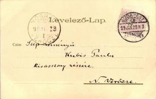 1899 Budapest XIV. Városligeti korcsolyapálya litho; Kunstanstalt Kosmos Serie IX