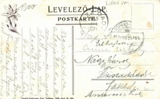 Likava, Vár, kiadja Feitzinger Ede / castle (fa)