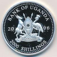 Uganda 2006. 2000Sh Ag "A labdarúgás halhatatlanjainak csarnoka - Hollandia 1990-es évek/Ronald Koeman" (25,15g) T:PP karc Uganda 2006. 2000 Shillings Ag "Hall of Fame of football - Netherlands 1990s/Ronald Koeman" (25,15g) C:PP scratched