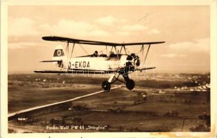 Focke-Wulf FW 44 'Stieglitz' Kunstverlaganstalt Bruno Hansmann / German air force (fl)