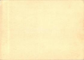 SA Brown shirts on parade / Festpostkarte zum Reichsparteitag Ga