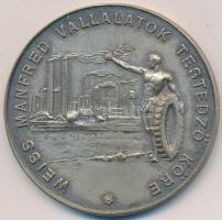 1941. "Weiss Manfred Vállalatok Testedző Köre" ezüstözött Br emlékérem. Szign.:FONYÓ (50mm...