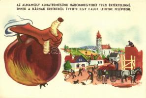 Az almamoly almatermésünk háromnegyedét teszi értéktelenné. / agricultural propaganda