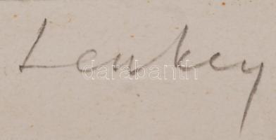 Lendvay jelzéssel: Eötvös Loránd, rézkarc, karton, 38,5×29 cm