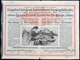 Budapest 1904. "Erzsébet királyné Sanatorium Sorsjegykölcsön" sorsjegye 5K-ról, szárazpecs...