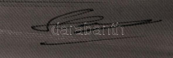 Olvashatatlan jelzéssel: Munka a rizsföldön. Vegyes technika, vászon, jelzett, 22x30 cm