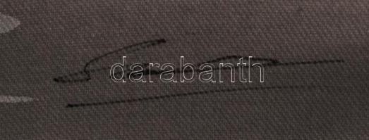 Olvashatatlan jelzéssel: Hazafelé. Vegyes technika, vászon, jelzett, 22x30 cm