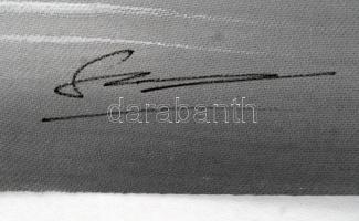 Olvashatatlan jelzéssel: Szántás-vetés. Vegyes technika, vászon, jelzett, 30x22 cm