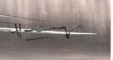 Olvashatatlan jelzéssel: Vízesés. Vegyes technika, vászon, jelzett, 22x30 cm