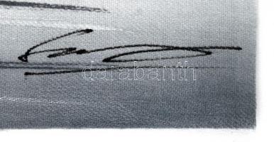 Olvashatatlan jelzéssel: Halászháló. Vegyes technika, vászon, jelzett, 30x22 cm