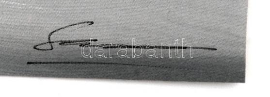 Olvashatatlan jelzéssel: Munka a földeken. Vegyes technika, vászon, jelzett, 30x22 cm