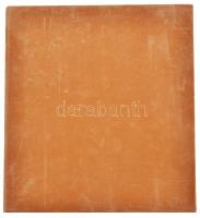 2002. 100Ft "Kossuth" (2x) + elsőnapi veret sorszámozott díszlapon exkluzív bársony albumb...