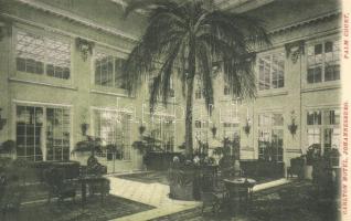 Johannesburg, Carlton Hotel, Palm court, interior