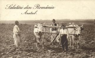 Salutari din Romania, aratul / Romanian folklore, plowing (fl)