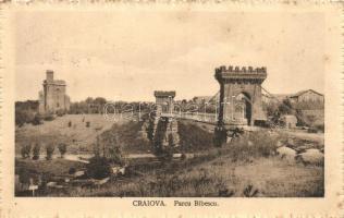 Craiova, Parcul Bibescu / park, bridge