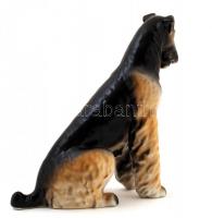 Hollóházi porcelán snauzer, apró karcolással, jelzett, m: 17 cm