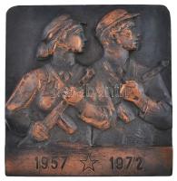 1972. "1957-1972 (15 éves a Munkásőrség)" bronzozott műanyag plakett, hátoldalán akasztóval (138x132mm) T:2-