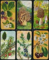 "Stühmer-sorozat" színes, dombornyomott, litho,vegyes sorozat: kerti virágok gyümölcsfélék...