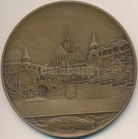 Berán Lajos (1882-1943) 1931. "Budapesti Emlék" Br emlékérem (80mm) T:2