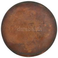 "Eötvös Károly Általános Iskola Vonyarcvashegy" Br emlékérem. Szign.: MJ (95mm) T:2-