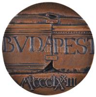 Asszonyi Tamás (1942-) 1973. "Budapest MDCCCLXXIII / 1873-1973 Pest-Buda egyesítésének emlékére" Br emlékérem (87mm) T:2-