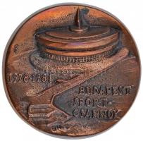 1981. "Budapest Sportcsarnok 1978-1981" Br emlékplakett (78mm) T:2-