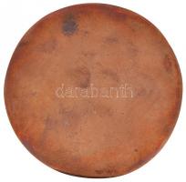 1981. "Budapest Sportcsarnok 1978-1981" Br emlékplakett (78mm) T:2-