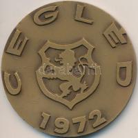 Képíró Zoltán (1944-1981) DN "Dózsa György-Cegléd" Br emlékérem (61mm) T:2