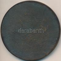 DN "A Közművelődésért 40 - Belügyminisztérium" Br emlékérem (75mm) T:2-